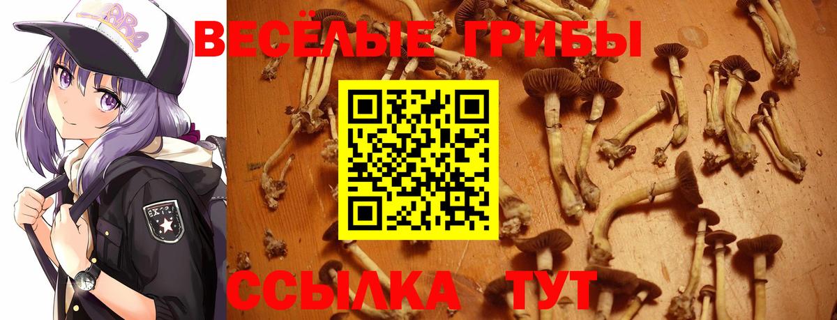 Галлюциногенные грибы ЛСД Видное