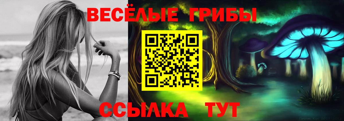 Видное  Псилоцибиновые грибы мицелий  как найти   Вход с VPN 